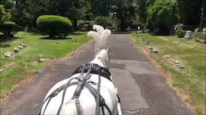 Horse Drawn Hearse For Funeral At Rosedale Cemetery Montclair Nj In 2020 Horse Drawn Hearse Horses