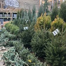 See a problem with this complex? Chelsea Garden Center Garden Center In Williamsburg