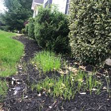 See 12 unbiased reviews of john's seafood, rated 4.5 of 5 on tripadvisor and ranked #3 of 15 restaurants in paulsboro. John S Landscaping Outdoor Services Reviews Pennsauken Nj Angi