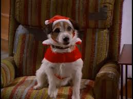 Download Frasier Christmas Episodes Ranked A Peerie Yarn SVG Cut Files