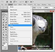How To Crop To Fixed Ratio In Photoshop