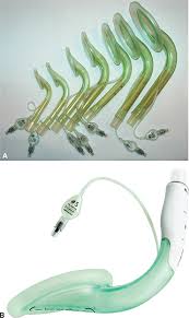 Image result for Extraglottic Device