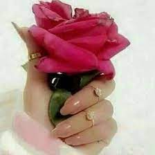 صور يد بنت ماسكة وردة حمراء. ØµÙˆØ± Ø§ÙŠØ¯ Ø¨Ù†Øª Ø±Ù…Ø²ÙŠØ§Øª ÙØªØ§Ù‡ Ù…Ø§Ø³ÙƒÙ‡ ÙˆØ±Ø¯Ù‡ Ù‡Ù„ ØªØ¹Ù„Ù…