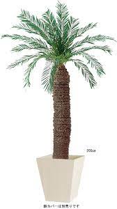 人工観葉植物造花 オープントロピック ソテツａ 光触媒 ct触媒加工した造花を販売しています サボテン ソテツ 観葉植物 造花