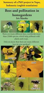 The offspring take on various or unique characteristics from the parents. Bees And Pollination In Homegardens