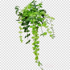 Please try this super easy yet aesthetic sketch. Family Tree Drawing Clipart Art Drawing Flower Transparent Clip Art