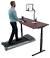 Home Office Standing Desks