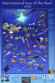 10 Biotic Factors In The Ocean Wetanddryenvironments Sbpslibraryweblinks Coral Reef Food Web Coral Reef Food Web
