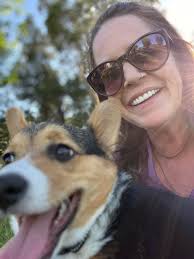 When do corgis start shedding like adults?