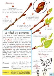 Manuels Anciens Orieux Everaere Exercices D Observation Ce1 1972 Tilleul Ce1 Lecon De Choses