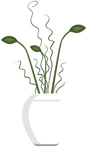 Buy the best and latest fiori secchi on banggood.com offer the quality fiori secchi on sale with worldwide free shipping. Free Vaso Di Fiori Secchi 1190498 Png With Transparent Background