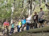 2026 Fall Walkabout - September