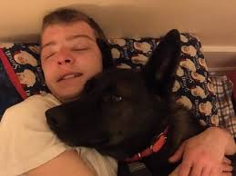 Episode 1: One Man's Trash, Rescue Dogs