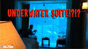 Check spelling or type a new query. Insane Underwater Hotel Suite Atlantis The Palm In Dubai Very Unofficial Travel Guides Youtube