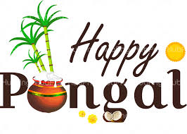 Happy Pongal Png Free Happy Pongal Png Transparent Images 157342 Pngio Polish your personal project or design with these pongal transparent png images, make it even more personalized and more attractive. happy pongal png transparent