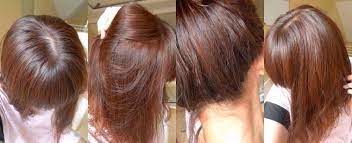 Piccolettabelle Hair Revlon Colorsilk 46 Medium Golden Chestnut Brown Hair Hair Color Hair Styles