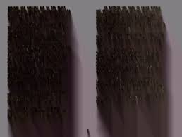 A survey of pears, nuts, and other fruit clones in the United States