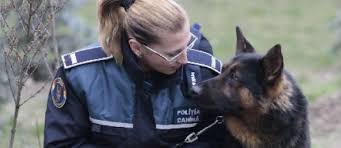 Anul acesta, la împlinirea a 199 de ani de tradiţie şi continuitate a activităţii în slujba cetăţenilor, ziua poliției române va fi cinstită prin muncă, la datorie, în mijlocul comunității, pentru asigurarea climatului de ordine și siguranță publică, dar cu sărbătoarea în inimi. Ziua PoliÈ›iei Romane SÄƒrbÄƒtoritÄƒ La Sun Plaza Sun Plaza