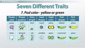 gregor mendel genetics experiments laws discovery