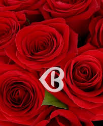 Am creat o serie de urari atat formale potrivite pentru colegi de munca cel mai simplu si comun mod de a spune la multi ani in engleza este happy birthday cu aceasta urare nu veti da niciodata gres. Buchete De Flori Cu La Multi Ani Pentru Zi De Nastere Pret De La 99lei