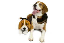 Use our simple customization process and shop custom pet products now! No Way Custom Plush Animals That Look Just Like Your Actual Pet