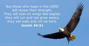 Check spelling or type a new query. June 19 2021 Bible Verse Of The Day Isaiah 40 31 Dailyverses Net