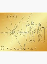 Image result for pioneer plaque