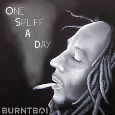 Stream Burntboi One Spliff A Day Free Download By Burntboi Dnb Listen Online For Free On Soundcloud