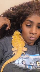 The guardian of nap time takes the job very seriously. 🐱👑💤