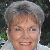 Hatched: How Nine Little Chicks Cracked My Shell by Sharon Wallen