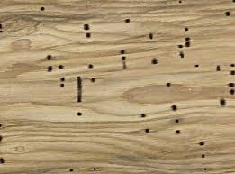 How To Make Realistic Worm Holes In Wood Wunderwoods In 2020 Wood Pallet Barn How To Distress Wood