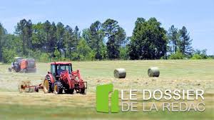 Une exploitation agricole désigne en économie agricole une entreprise (ou une partie d'une entreprise). Acceder A Un Terrain Agricole Un Privilege Rare Matele