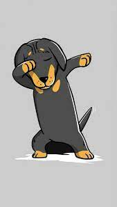 Dachshund Funny Wallpaper Dog Wallpaper Iphone Funny Wallpapers