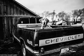 Pin By Laurie Gee On Photos I Like Chevy Trucks Lifted Chevy Trucks Truck Yeah