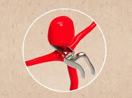 L'aneurisma cerebrale coinvolge piccoli vasi sanguigni del cervello che si infiammano ed esercitano una forte e pericolosa pressione sulla zona della testa l'aneurisma cerebrale si verifica quando un vaso sanguigno del cervello si riempie di sangue, aumentando la pressione sulla parte della testa. Quanto E Pericoloso L Aneurisma Cerebrale Corriere It