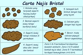 Ia melambangkan kesihatan dan cara pemakanan bayi tersebut. Warna Najis Dan Tahap Kesihatan Pendidikan Pencegahan Dadah Dan Kesihatan Sekolah Kajian Menunjukkan Bahawa Pengambilan Kacang Tanah Dan Kacang Lain Dapat Melindungi Dari Penyakit Jantung Cas Xee