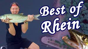 Видео spearfishing 2020 (summer edition) канала indir. Spearfishing In Europe Law Rules And Restrictions Countries Harpune Info
