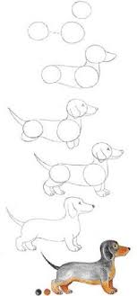Now that we are done drawing a sitting, sleeping, and a standing dog, we will learn step by step drawing of a puppy. 20 Easy Dog Drawings Step By Step Do It Before Me
