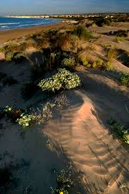 Dune di sabbia Sampieri: formazioni geologiche