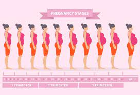 What is Pregnancy? | Urdu Meaning, Causes and Treatment