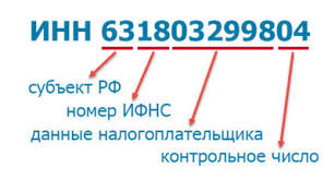 Kak Poluchit Inn Fizicheskomu Licu