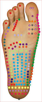 Interactive Jain Reflexology Foot Chart Jain Chumbak