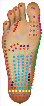 interactive jain reflexology foot chart jain chumbak