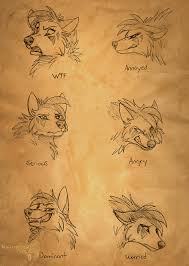 Raven Expressions By Nightrizer On Deviantart Animal Drawings Animal Sketches Anime Wolf Drawing