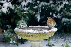 What bird baths are best to attract the most birds, easy to clean, more. 11 Of The Best Birdbaths For Your Backyard In 2021 Gardener S Path