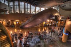 New lofts, bars, hotels and restaurants are popping up regularly. Wondering What Museums Or Art Exhibits Are Open In Los Angeles Here S A Guide The Sundial