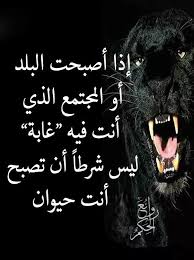 pin by فلسطينية ولي الفخر on روائع الحكم animals panther