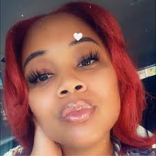 What to do with stray kittens in Kansas City?