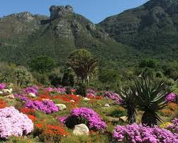 Beyond The Greenhouse Slideshow Botanical Gardens Africa Destinations Gardens Of The World