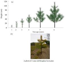 Comparison Between Simulated Images And Taken Photo For